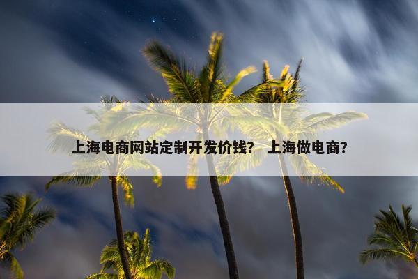 上海电商网站定制开发价钱？ 上海做电商？
