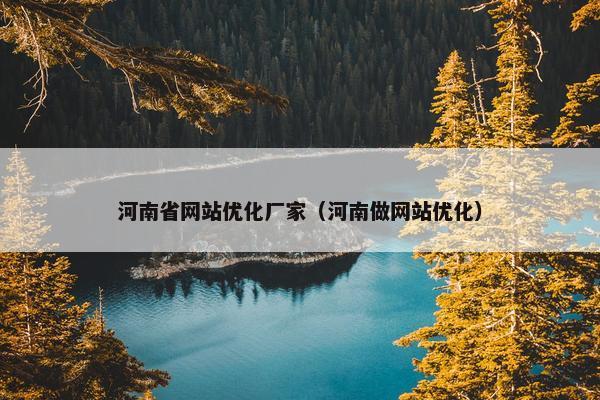 河南省网站优化厂家（河南做网站优化）