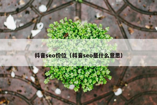 抖音seo价位（抖音seo是什么意思）