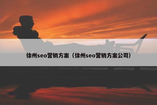 徐州seo营销方案（徐州seo营销方案公司）
