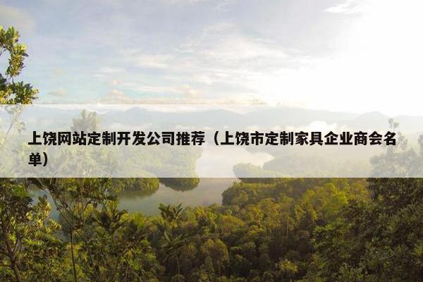 上饶网站定制开发公司推荐（上饶市定制家具企业商会名单）