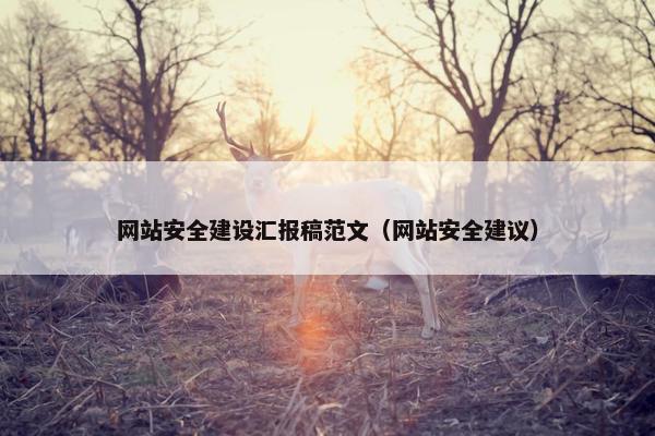 网站安全建设汇报稿范文（网站安全建议）