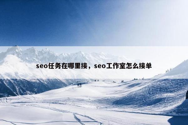 seo任务在哪里接，seo工作室怎么接单