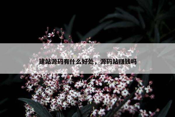 建站源码有什么好处，源码站赚钱吗