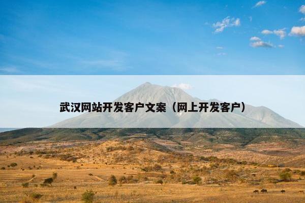 武汉网站开发客户文案（网上开发客户）