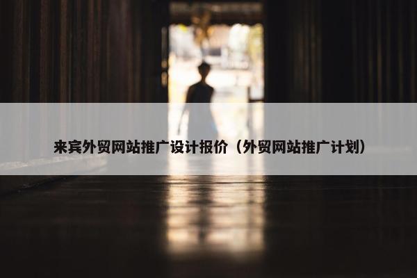 来宾外贸网站推广设计报价（外贸网站推广计划）