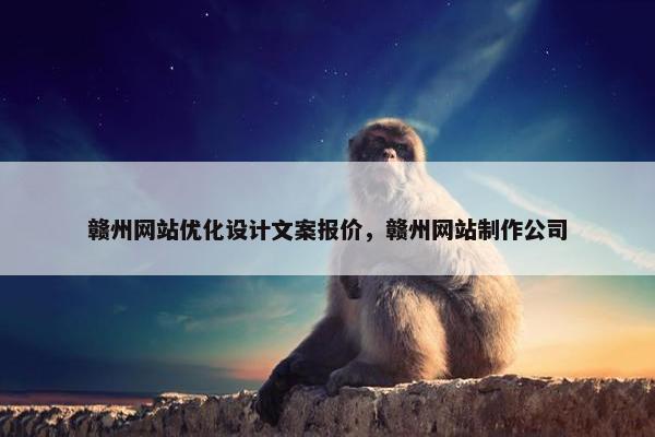 赣州网站优化设计文案报价，赣州网站制作公司