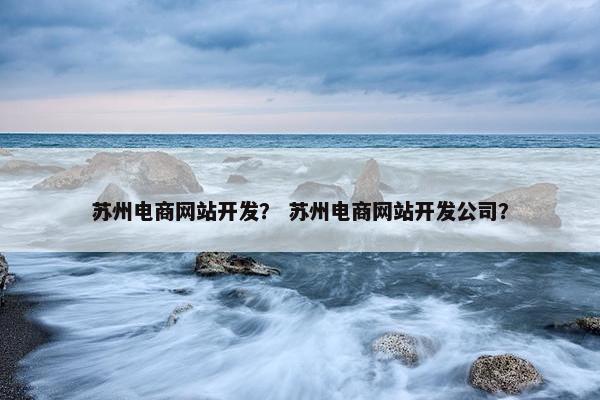 苏州电商网站开发？ 苏州电商网站开发公司？