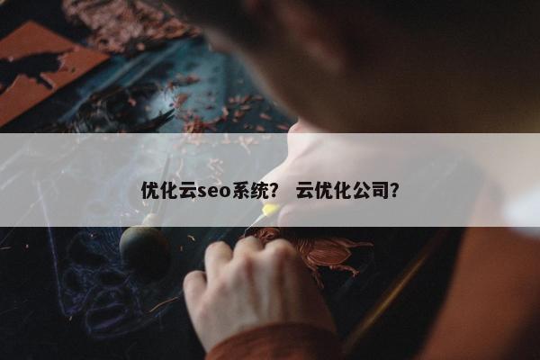 优化云seo系统？ 云优化公司？