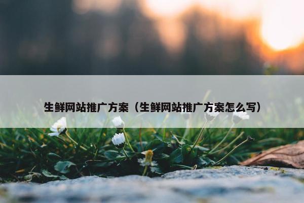 生鲜网站推广方案（生鲜网站推广方案怎么写）