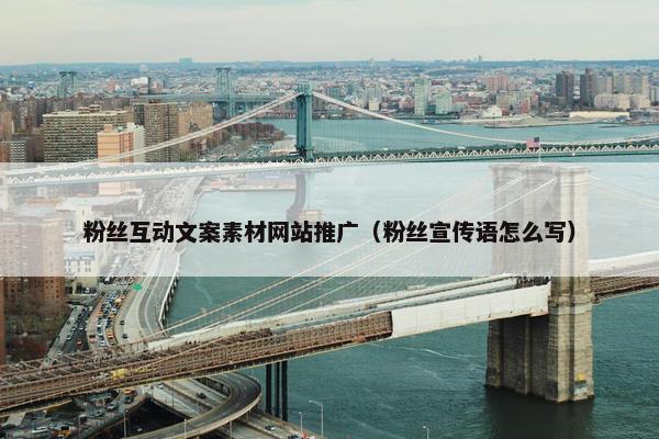 粉丝互动文案素材网站推广（粉丝宣传语怎么写）