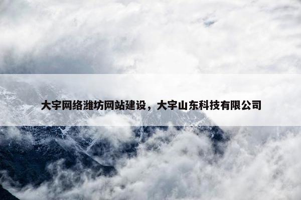 大宇网络潍坊网站建设，大宇山东科技有限公司
