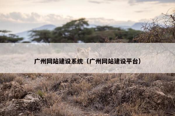 广州网站建设系统（广州网站建设平台）