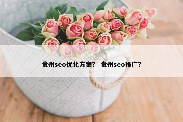 贵州seo优化方案？ 贵州seo推广？