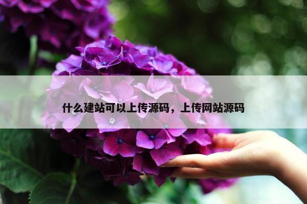 什么建站可以上传源码，上传网站源码