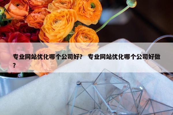 专业网站优化哪个公司好？ 专业网站优化哪个公司好做？