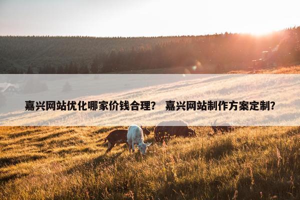 嘉兴网站优化哪家价钱合理？ 嘉兴网站制作方案定制？
