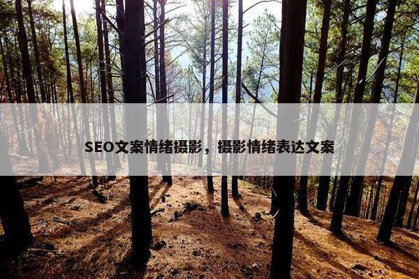SEO文案情绪摄影，摄影情绪表达文案