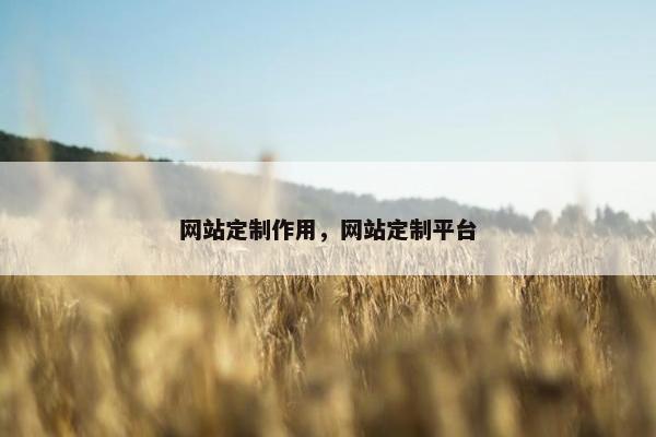 网站定制作用，网站定制平台