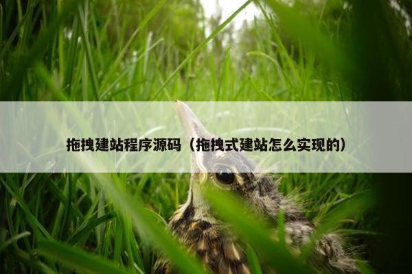 拖拽建站程序源码（拖拽式建站怎么实现的）