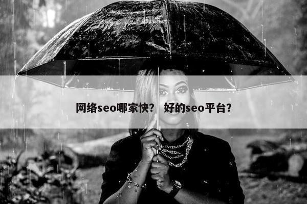 网络seo哪家快？ 好的seo平台？