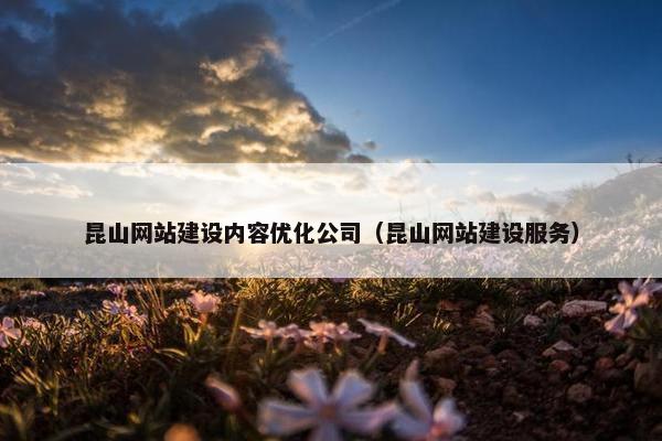 昆山网站建设内容优化公司（昆山网站建设服务）