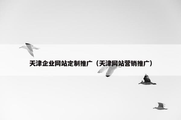 天津企业网站定制推广（天津网站营销推广）