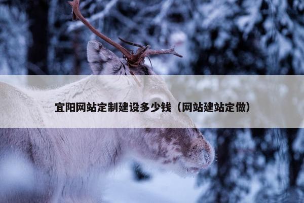 宜阳网站定制建设多少钱（网站建站定做）