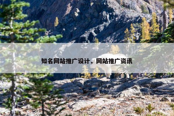 知名网站推广设计，网站推广资讯