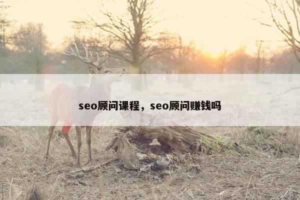 seo顾问课程，seo顾问赚钱吗