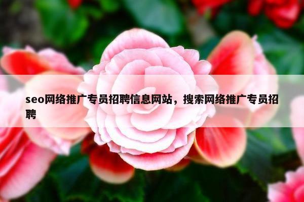 seo网络推广专员招聘信息网站，搜索网络推广专员招聘