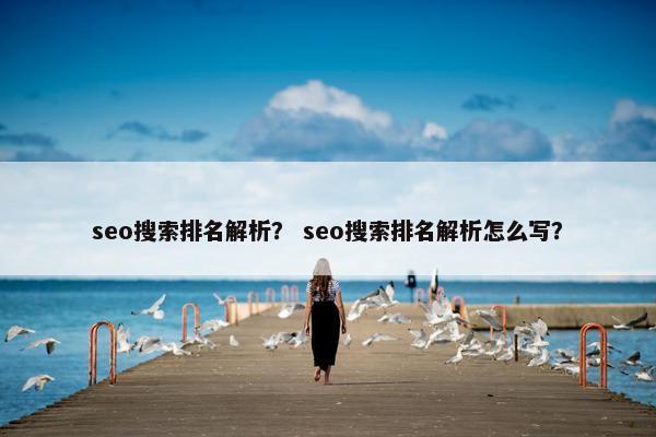 seo搜索排名解析？ seo搜索排名解析怎么写？
