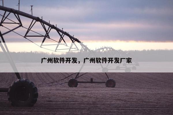 广州软件开发，广州软件开发厂家