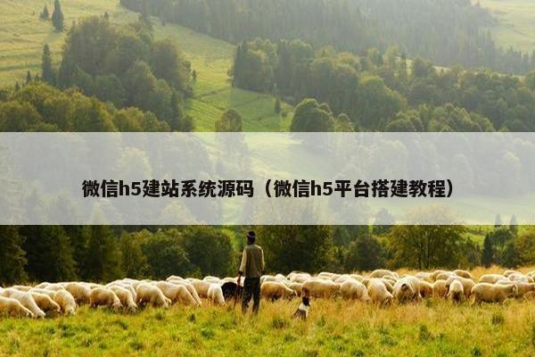 微信h5建站系统源码（微信h5平台搭建教程）