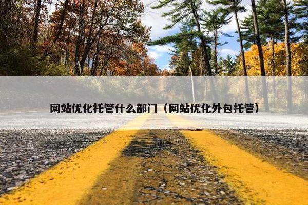 网站优化托管什么部门（网站优化外包托管）