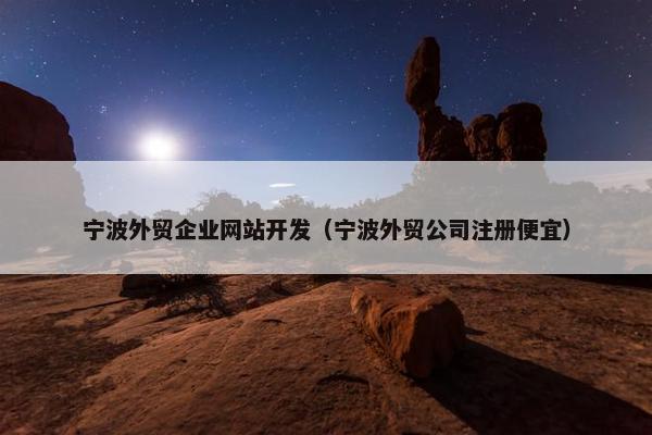 宁波外贸企业网站开发（宁波外贸公司注册便宜）