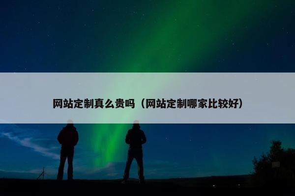 网站定制真么贵吗（网站定制哪家比较好）