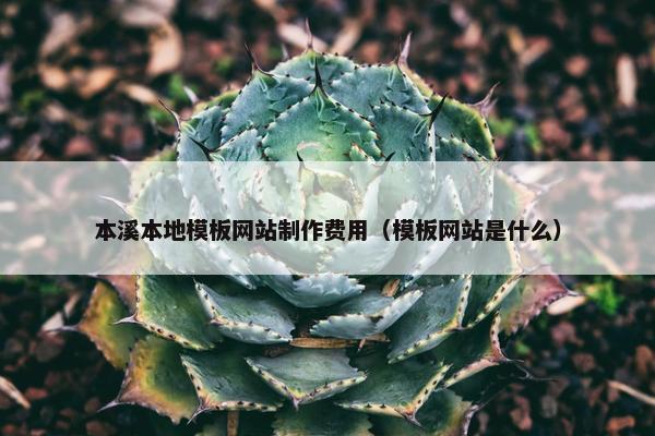 本溪本地模板网站制作费用（模板网站是什么）