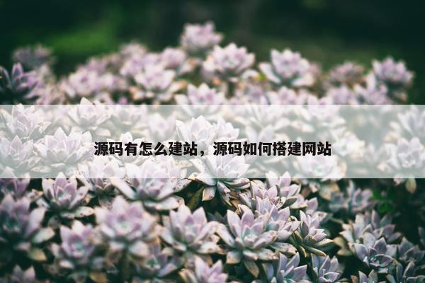 源码有怎么建站，源码如何搭建网站