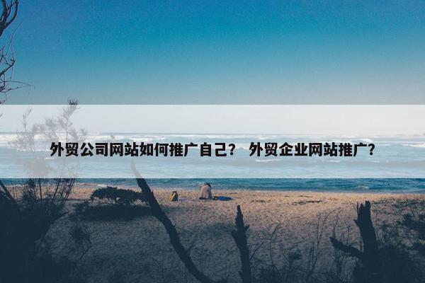 外贸公司网站如何推广自己？ 外贸企业网站推广？