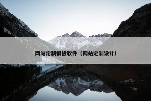 网站定制模板软件（网站定制设计）