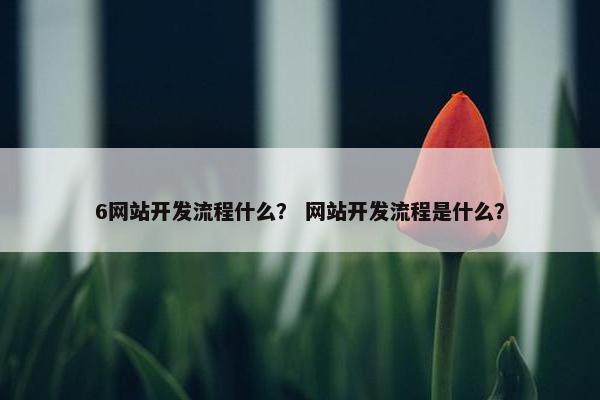 6网站开发流程什么？ 网站开发流程是什么？