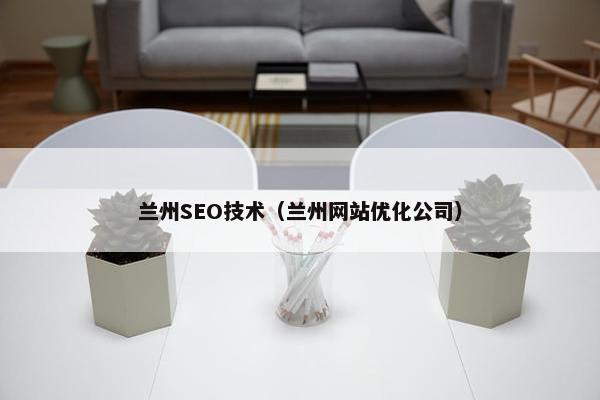 兰州SEO技术（兰州网站优化公司）