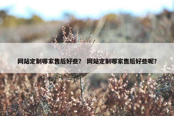 网站定制哪家售后好些？ 网站定制哪家售后好些呢？
