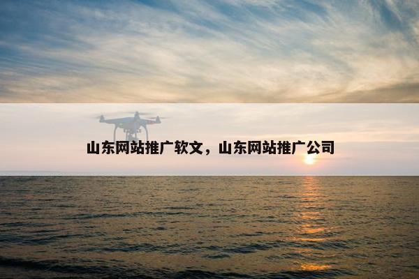 山东网站推广软文，山东网站推广公司