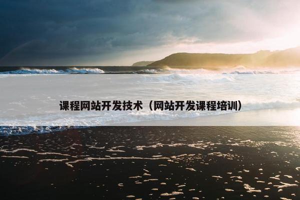 课程网站开发技术（网站开发课程培训）