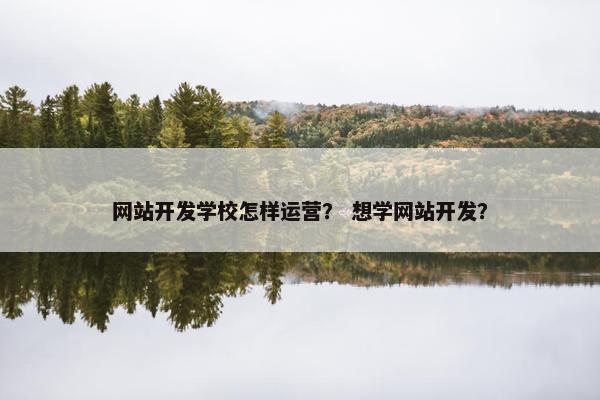 网站开发学校怎样运营？ 想学网站开发？