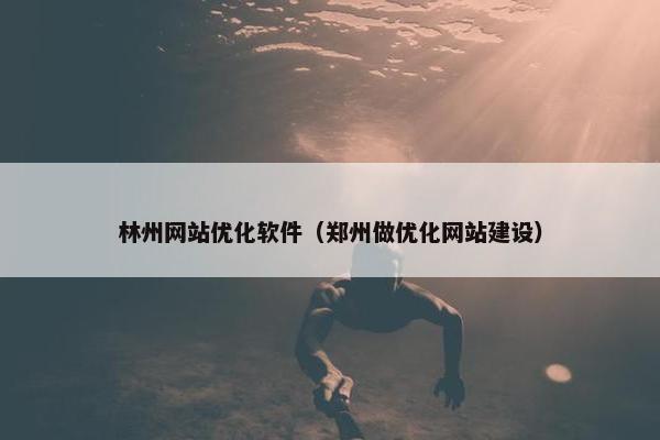 林州网站优化软件（郑州做优化网站建设）