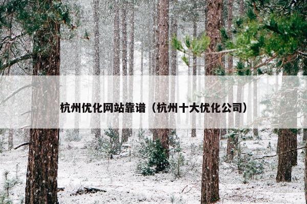 杭州优化网站靠谱（杭州十大优化公司）