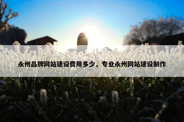 永州品牌网站建设费用多少，专业永州网站建设制作